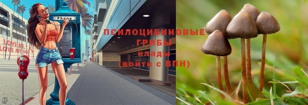 стаф Михайловск