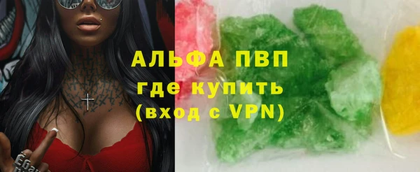 стаф Михайловск