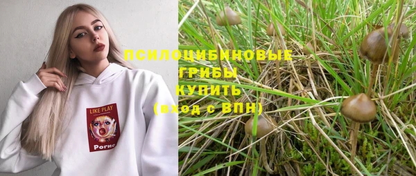 прущий лед Михайлов