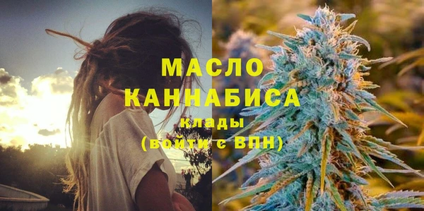 прущий лед Михайлов