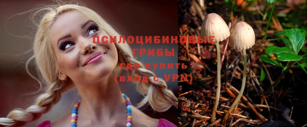 прущий лед Михайлов