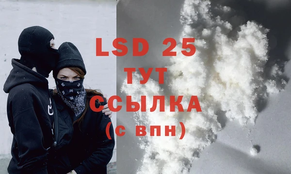 стаф Михайловск
